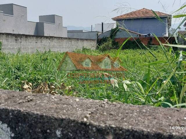 Terreno para Venda em Caraguatatuba - 4