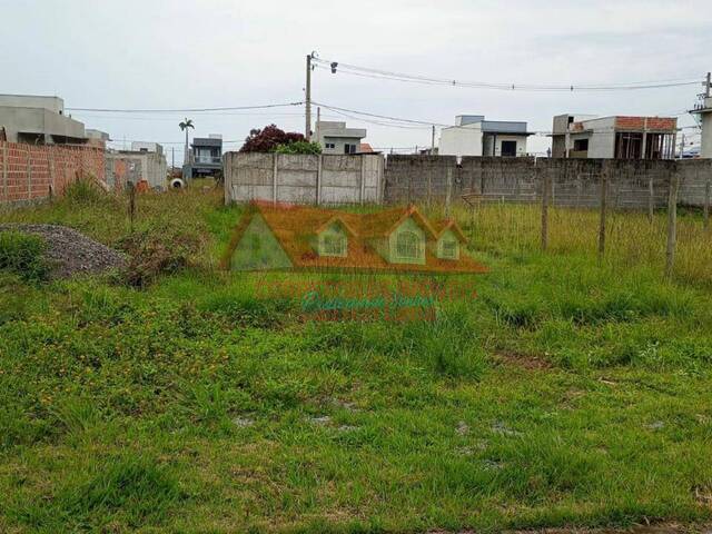 Área para Venda em Caraguatatuba - 4