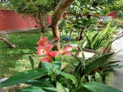 #CA00261 - Casa para Venda em Caraguatatuba - SP