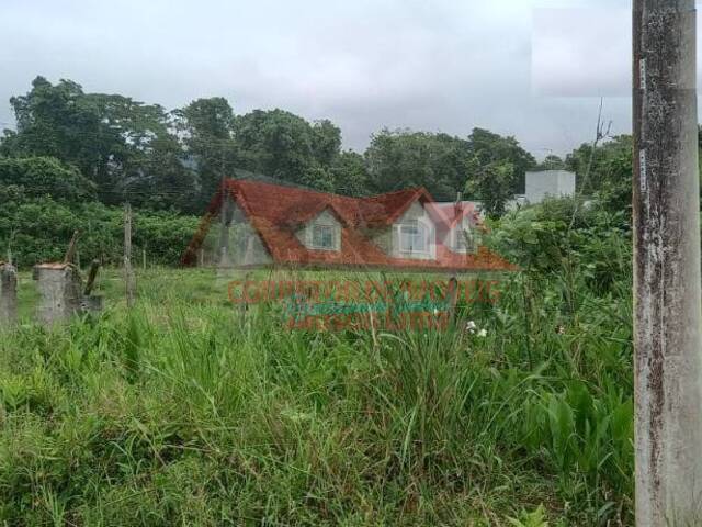 Terreno para Venda em Caraguatatuba - 4